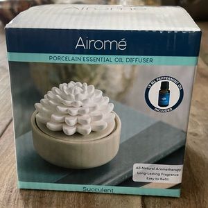 Airome Succulent Essential Oil Diffuser NEW
